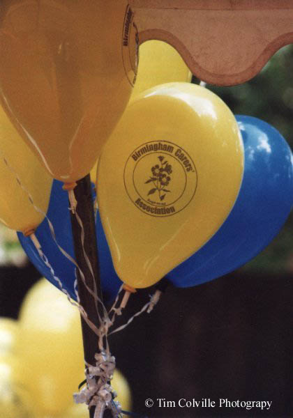 99013-23 Balloons